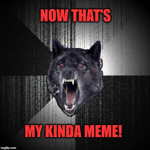 Insanity Wolf Meme | NOW THAT'S MY KINDA MEME! | image tagged in memes,insanity wolf | made w/ Imgflip meme maker