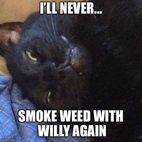 I’LL NEVER... SMOKE WEED WITH WILLY AGAIN | image tagged in sleeping phatius | made w/ Imgflip meme maker