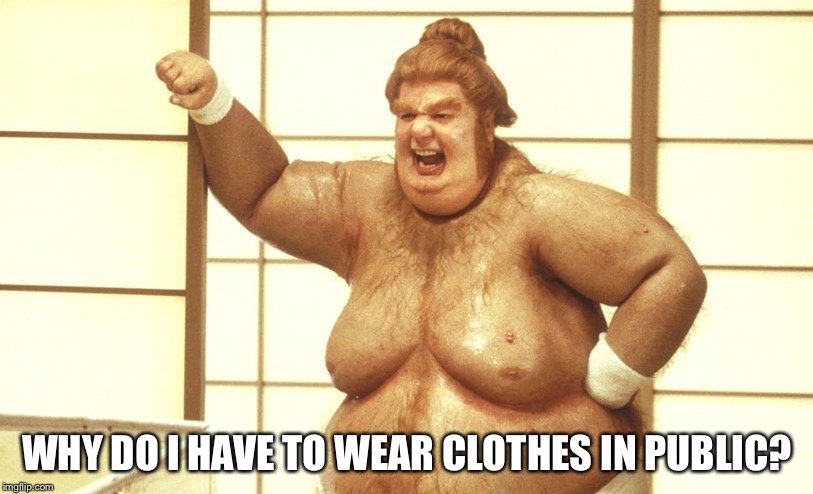 Man Boobs | WHY DO I HAVE TO WEAR CLOTHES IN PUBLIC? | image tagged in man boobs | made w/ Imgflip meme maker