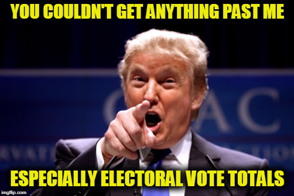 Your President BWHA-HA-HA! | YOU COULDN'T GET ANYTHING PAST ME ESPECIALLY ELECTORAL VOTE TOTALS | image tagged in your president bwha-ha-ha | made w/ Imgflip meme maker