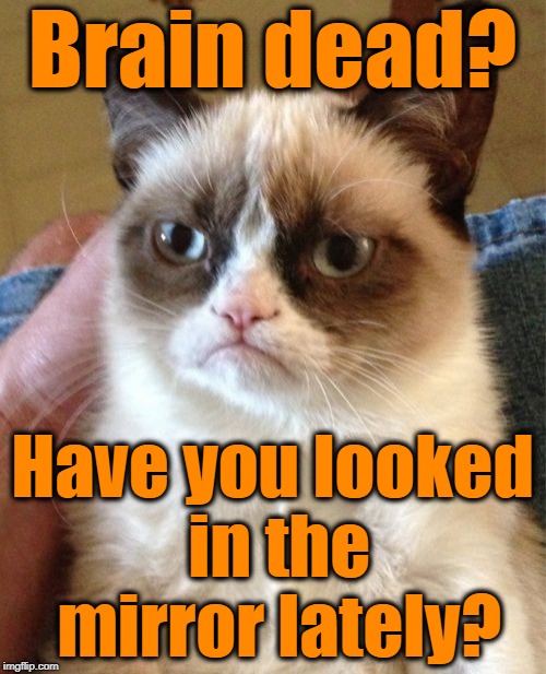 Grumpy Cat Meme | Brain dead? Have you looked in the mirror lately? | image tagged in memes,grumpy cat | made w/ Imgflip meme maker