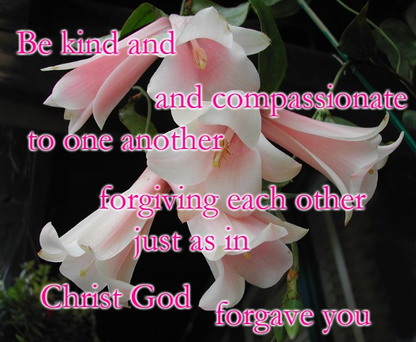 Ephesians 4:32 Be Kind | Be kind and; and compassionate; to one another; forgiving each other; just as in; forgave you; Christ God | image tagged in bible,holy bible,bible verse,holy spirit,verse,god | made w/ Imgflip meme maker