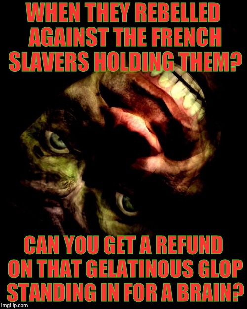 Creep With Tilted Head | WHEN THEY REBELLED AGAINST THE FRENCH SLAVERS HOLDING THEM? CAN YOU GET A REFUND ON THAT GELATINOUS GLOP STANDING IN FOR A BRAIN? | image tagged in creep with tilted head vagabondsouffle template | made w/ Imgflip meme maker