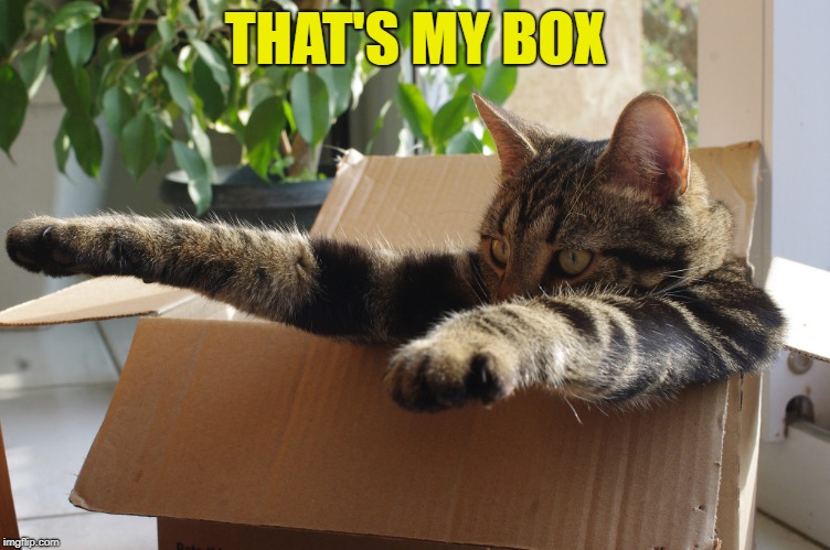 THAT'S MY BOX | made w/ Imgflip meme maker
