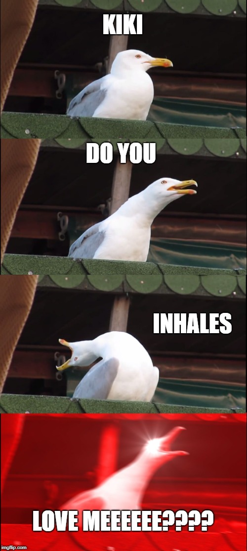 Inhaling Seagull Meme | KIKI; DO YOU; INHALES; LOVE MEEEEEE???? | image tagged in memes,inhaling seagull | made w/ Imgflip meme maker