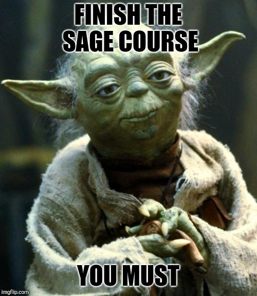 Star Wars Yoda Meme | FINISH THE SAGE COURSE; YOU MUST | image tagged in memes,star wars yoda | made w/ Imgflip meme maker