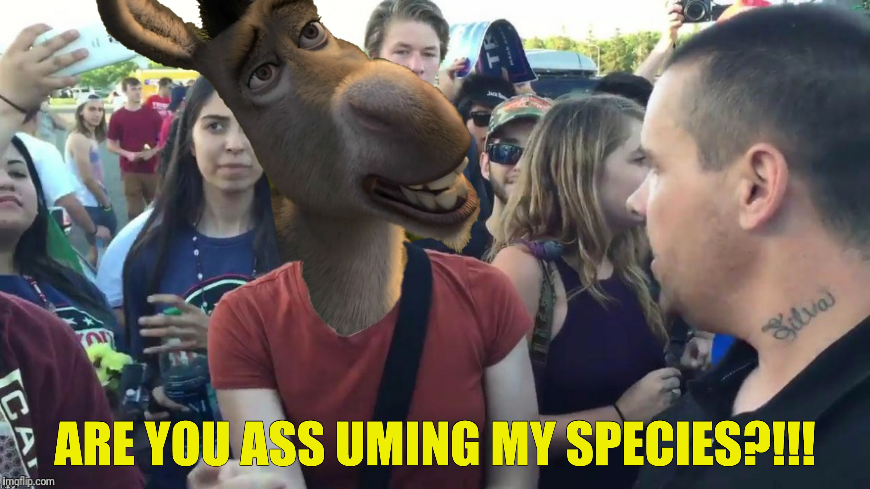 Bad Photoshop Sunday presents:  Making an ass out of you and me   | ARE YOU ASS UMING MY SPECIES?!!! | image tagged in bad photoshop sunday,social justice warrior,donkey,shrek | made w/ Imgflip meme maker