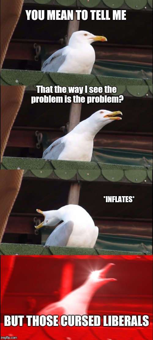 Liberals: cursing the country since you started seeing them as the country's curse | YOU MEAN TO TELL ME; That the way I see the problem is the problem? *INFLATES*; BUT THOSE CURSED LIBERALS | image tagged in memes,inhaling seagull | made w/ Imgflip meme maker