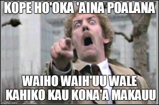 KOPE HO'OKA 'AINA POALANA WAIHO WAIH'UU WALE KAHIKO KAU KONA'A MAKAUU | made w/ Imgflip meme maker