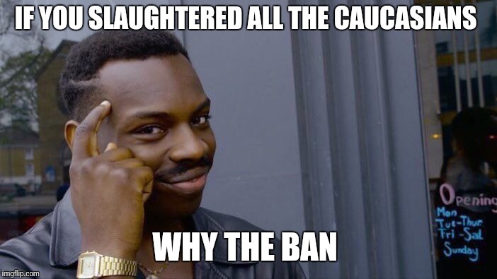 Roll Safe Think About It Meme | IF YOU SLAUGHTERED ALL THE CAUCASIANS WHY THE BAN | image tagged in memes,roll safe think about it | made w/ Imgflip meme maker