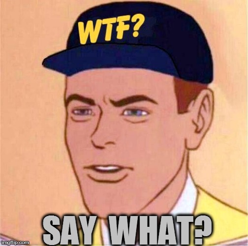 SAY  WHAT? | made w/ Imgflip meme maker