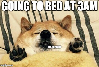 SNOOZE | GOING TO BED AT 3AM; YES PLEASANT | image tagged in doggos | made w/ Imgflip meme maker