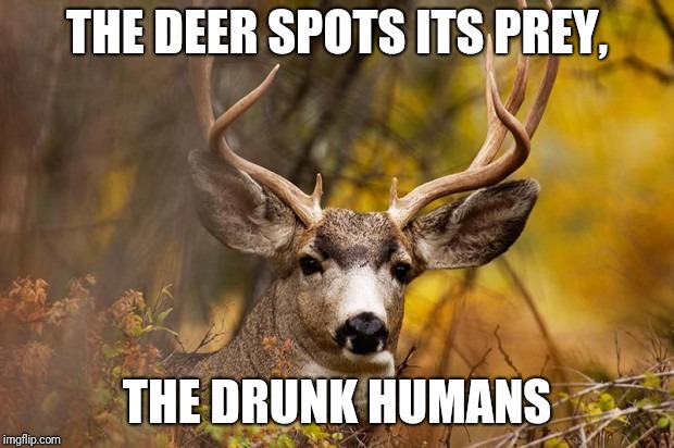 deer meme | THE DEER SPOTS ITS PREY, THE DRUNK HUMANS | image tagged in deer meme | made w/ Imgflip meme maker
