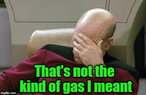 Captain Picard Facepalm Meme | That's not the kind of gas I meant | image tagged in memes,captain picard facepalm | made w/ Imgflip meme maker