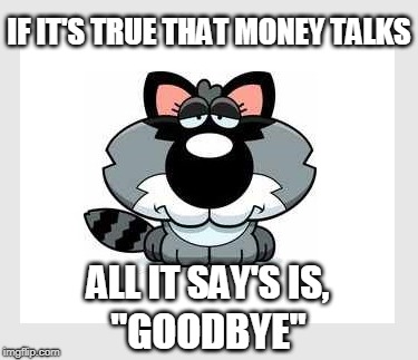 money, money, money, moneeey! | IF IT'S TRUE THAT MONEY TALKS; ALL IT SAY'S IS, "GOODBYE" | image tagged in money,money talks,raccoon | made w/ Imgflip meme maker