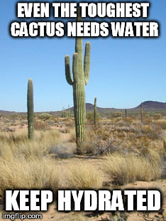 Keep Hydrated | EVEN THE TOUGHEST CACTUS NEEDS WATER; KEEP HYDRATED | image tagged in desert cactus | made w/ Imgflip meme maker