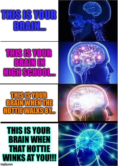 Expanding Brain | THIS IS YOUR BRAIN... THIS IS YOUR BRAIN IN HIGH SCHOOL... THIS IS YOUR BRAIN WHEN THE HOTTIE WALKS BY... THIS IS YOUR BRAIN WHEN THAT HOTTIE WINKS AT YOU!!! | image tagged in memes,expanding brain | made w/ Imgflip meme maker