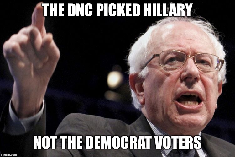 Bernie Sanders | THE DNC PICKED HILLARY NOT THE DEMOCRAT VOTERS | image tagged in bernie sanders | made w/ Imgflip meme maker