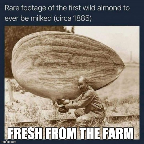 FRESH FROM THE FARM | image tagged in got milk | made w/ Imgflip meme maker