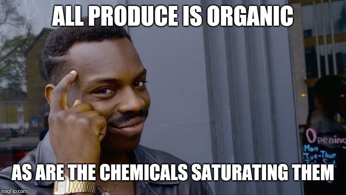 Roll Safe Think About It Meme | ALL PRODUCE IS ORGANIC AS ARE THE CHEMICALS SATURATING THEM | image tagged in memes,roll safe think about it | made w/ Imgflip meme maker