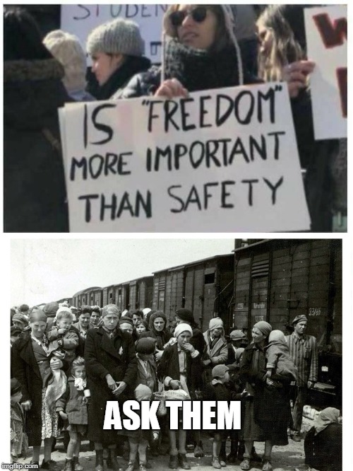 Freedom or Safety |  ASK THEM | image tagged in freedom or safety,concentration camp,safe space,freedom,rights,independence | made w/ Imgflip meme maker