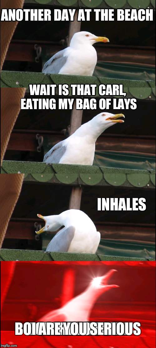 taking somebodys lays be like | ANOTHER DAY AT THE BEACH; WAIT IS THAT CARL, EATING MY BAG OF LAYS; INHALES; BOI ARE YOU SERIOUS | image tagged in memes,inhaling seagull | made w/ Imgflip meme maker