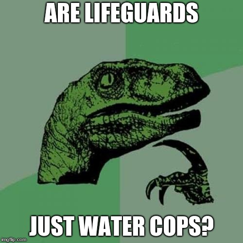 Philosoraptor Meme | ARE LIFEGUARDS; JUST WATER COPS? | image tagged in memes,philosoraptor | made w/ Imgflip meme maker