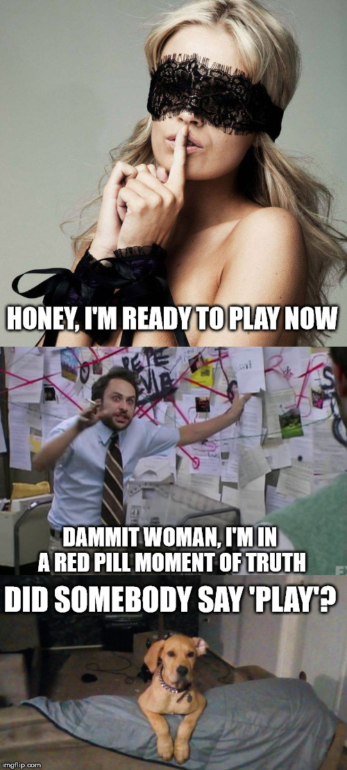 HONEY, I'M READY TO PLAY NOW; DAMMIT WOMAN, I'M IN A RED PILL MOMENT OF TRUTH; DID SOMEBODY SAY 'PLAY'? | made w/ Imgflip meme maker