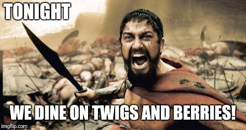 Vegetarian Sparta | TONIGHT; WE DINE ON TWIGS AND BERRIES! | image tagged in memes,sparta leonidas,vegetarian | made w/ Imgflip meme maker