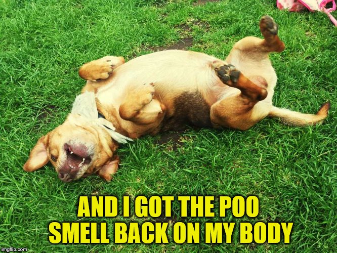 AND I GOT THE POO SMELL BACK ON MY BODY | made w/ Imgflip meme maker