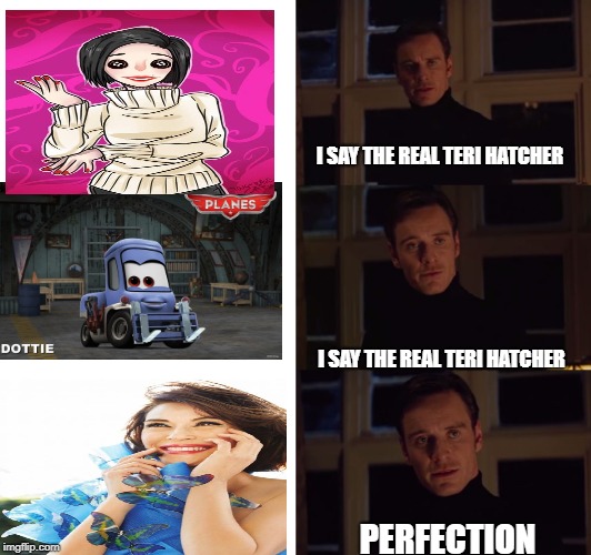 Perfection | I SAY THE REAL TERI HATCHER; I SAY THE REAL TERI HATCHER; PERFECTION | image tagged in perfection | made w/ Imgflip meme maker