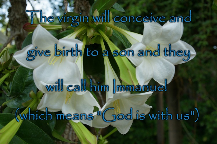 Matthew 1:23 Immanuel | The virgin will conceive and; give birth to a son and they; will call him Immanuel; (which means "God is with us") | image tagged in bible,holy bible,god,bible verse,verse,holy spirit | made w/ Imgflip meme maker