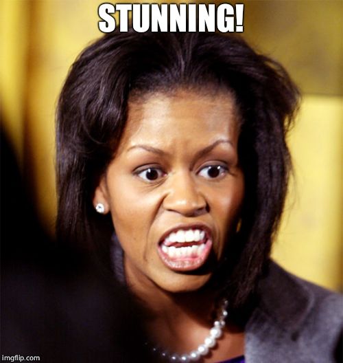 Michelle Obama Lookalike | STUNNING! | image tagged in michelle obama lookalike | made w/ Imgflip meme maker