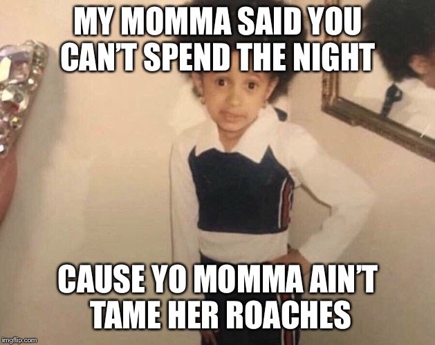 My Momma Said | MY MOMMA SAID YOU CAN’T SPEND THE NIGHT; CAUSE YO MOMMA AIN’T TAME HER ROACHES | image tagged in my momma said | made w/ Imgflip meme maker