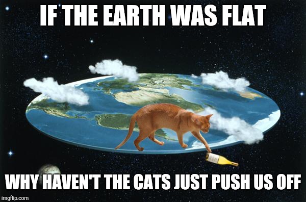 cat on flat earth | IF THE EARTH WAS FLAT; WHY HAVEN'T THE CATS JUST PUSH US OFF | image tagged in cat on flat earth | made w/ Imgflip meme maker
