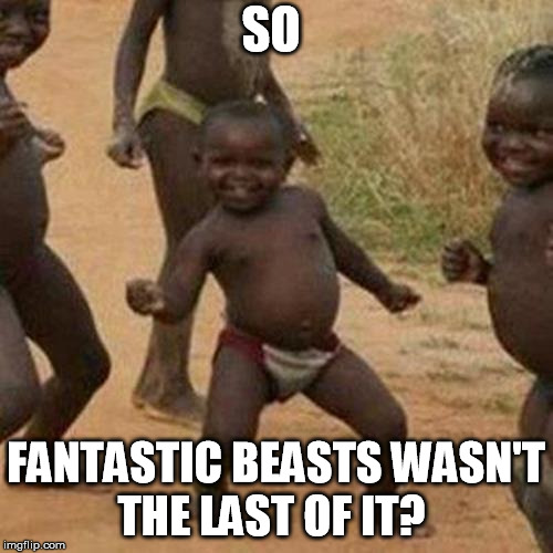 Third World Success Kid Meme | SO FANTASTIC BEASTS WASN'T THE LAST OF IT? | image tagged in memes,third world success kid | made w/ Imgflip meme maker