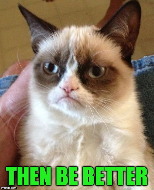 Grumpy Cat Meme | THEN BE BETTER | image tagged in memes,grumpy cat | made w/ Imgflip meme maker