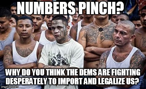 MS13 Family Pic | NUMBERS PINCH? WHY DO YOU THINK THE DEMS ARE FIGHTING DESPERATELY TO IMPORT AND LEGALIZE US? | image tagged in ms13 family pic | made w/ Imgflip meme maker