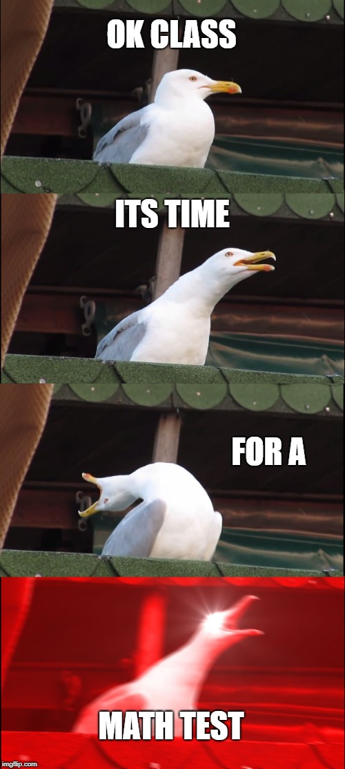 Inhaling Seagull Meme | OK CLASS; ITS TIME; FOR A; MATH TEST | image tagged in memes,inhaling seagull | made w/ Imgflip meme maker