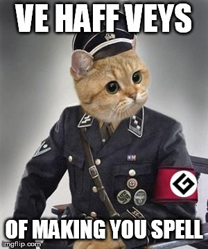 Grammar Nazi Cat | VE HAFF VEYS OF MAKING YOU SPELL | image tagged in grammar nazi cat | made w/ Imgflip meme maker
