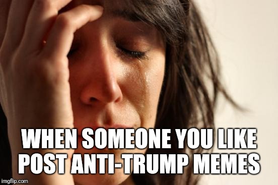 First World Problems | WHEN SOMEONE YOU LIKE POST ANTI-TRUMP MEMES | image tagged in memes,first world problems | made w/ Imgflip meme maker