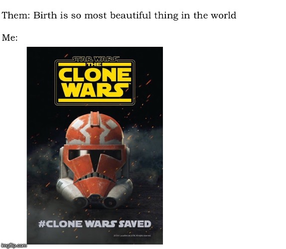 The most beautiful thing in the world | image tagged in star wars,memes,text,clone wars | made w/ Imgflip meme maker