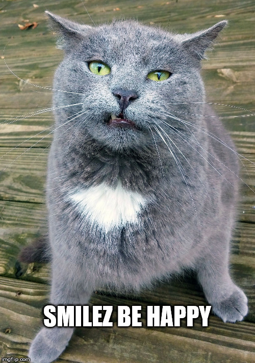 Smiley Cat | SMILEZ BE HAPPY | image tagged in smiley cat | made w/ Imgflip meme maker