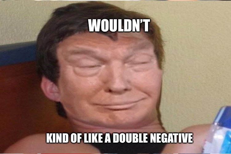 WOULDN’T KIND OF LIKE A DOUBLE NEGATIVE | made w/ Imgflip meme maker