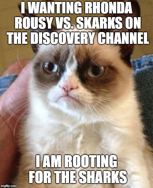 Grumpy Cat Meme | I WANTING RHONDA ROUSY VS. SKARKS ON THE DISCOVERY CHANNEL; I AM ROOTING FOR THE SHARKS | image tagged in memes,grumpy cat | made w/ Imgflip meme maker