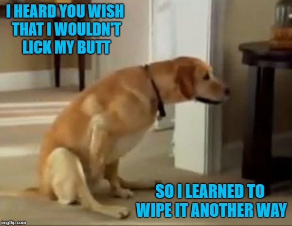 I HEARD YOU WISH THAT I WOULDN'T LICK MY BUTT SO I LEARNED TO WIPE IT ANOTHER WAY | made w/ Imgflip meme maker