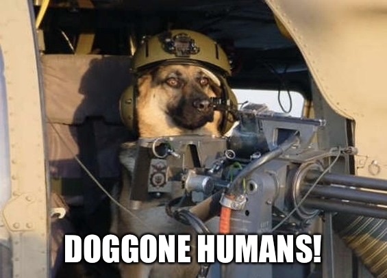 DOGGONE HUMANS! | made w/ Imgflip meme maker