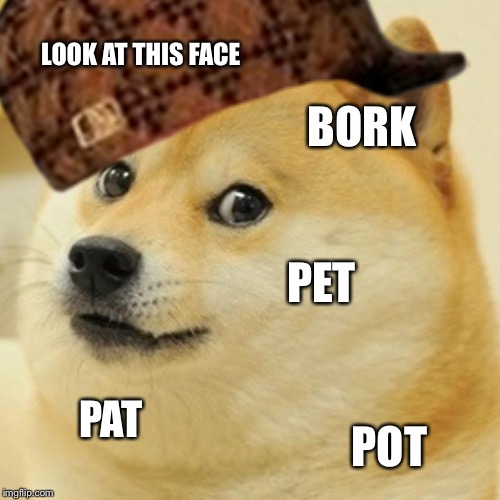 I Made This Meme Against My Will | LOOK AT THIS FACE; BORK; PET; PAT; POT | image tagged in doge,bork,pet,pat,pot | made w/ Imgflip meme maker