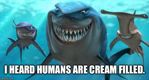 Fish are friends not food | I HEARD HUMANS ARE CREAM FILLED. | image tagged in fish are friends not food | made w/ Imgflip meme maker