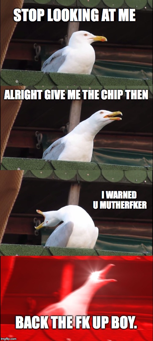 Inhaling Seagull | STOP LOOKING AT ME; ALRIGHT GIVE ME THE CHIP THEN; I WARNED U MUTHERFKER; BACK THE FK UP BOY. | image tagged in memes,inhaling seagull | made w/ Imgflip meme maker